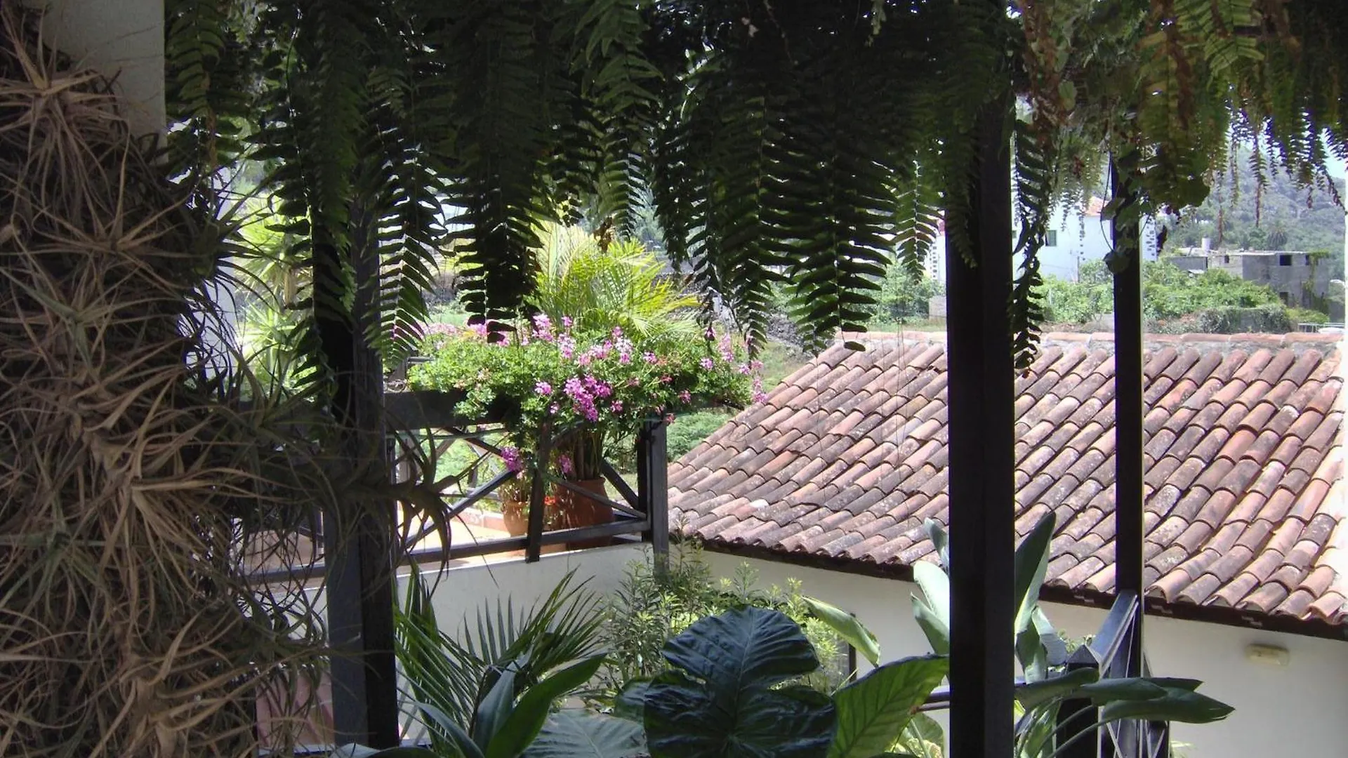 Apartment Rustic Holiday Home With Balcony And Sea View Icod De Los Vinos Spain