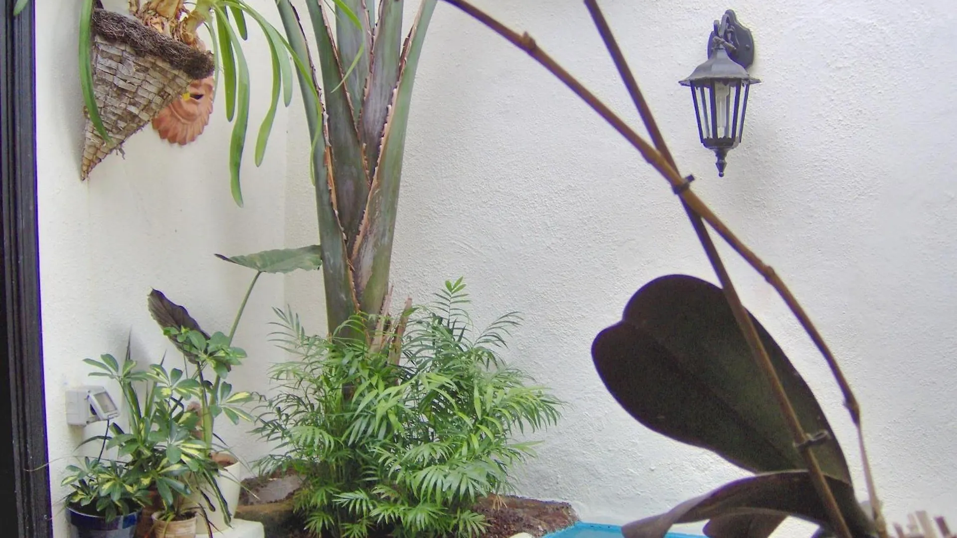 Rustic Holiday Home With Balcony And Sea View Icod De Los Vinos Spain