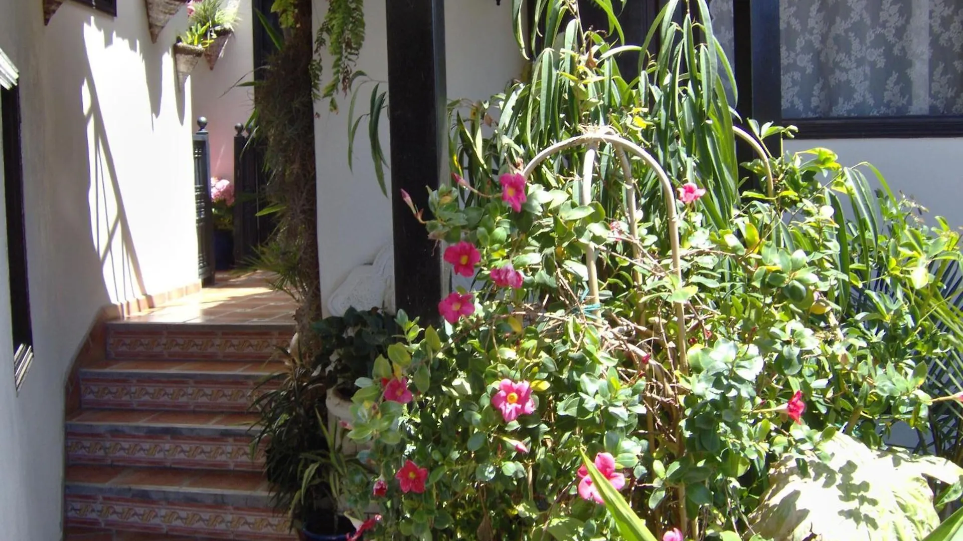 Rustic Holiday Home With Balcony And Sea View Icod De Los Vinos Apartment