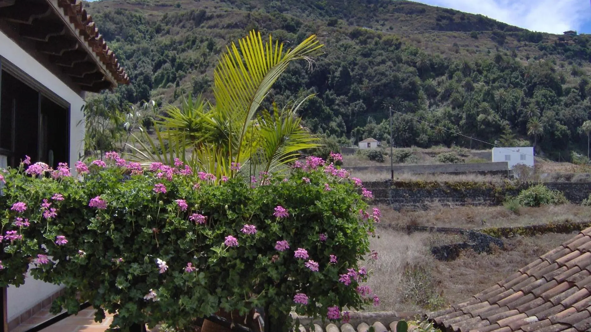 Rustic Holiday Home With Balcony And Sea View Icod De Los Vinos 0*,  Spain